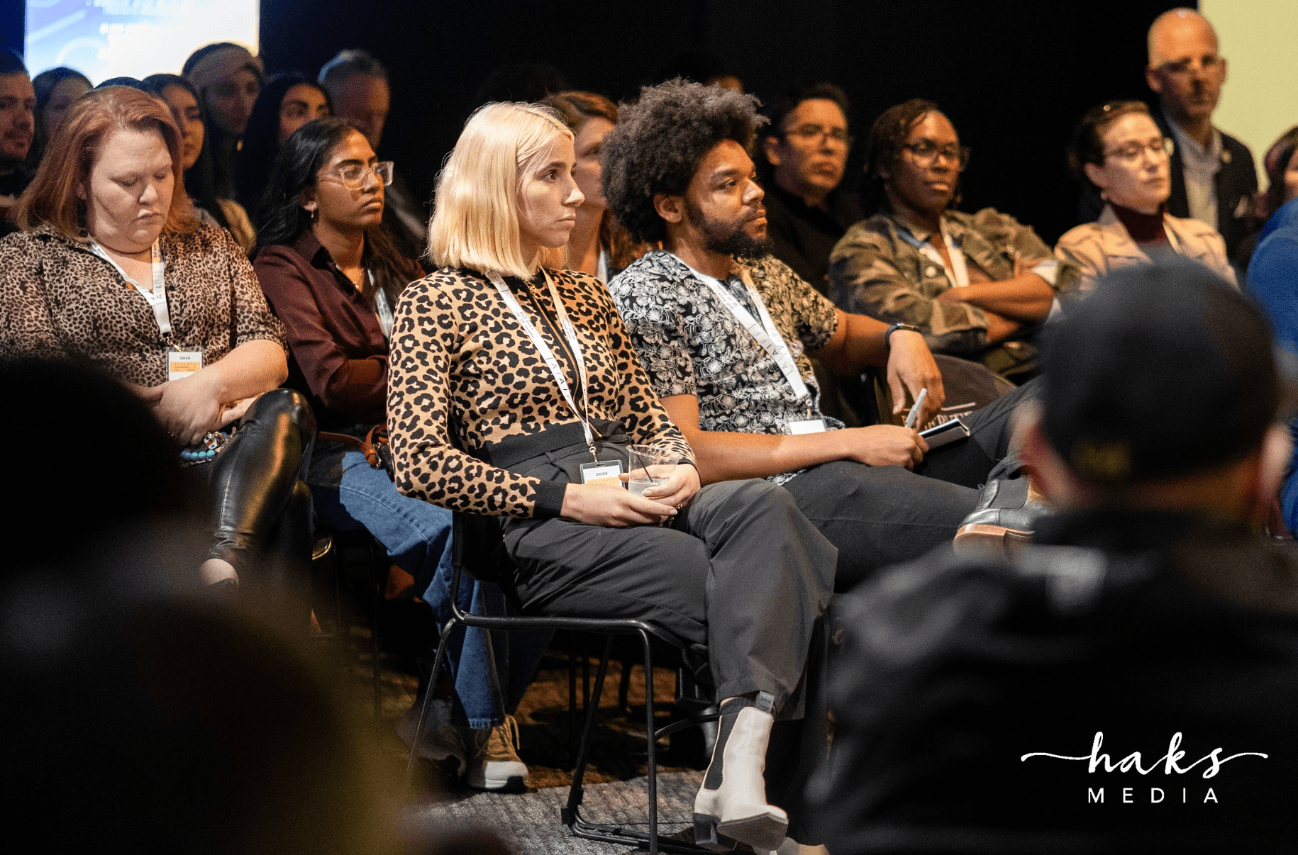 AIAIFF 2025 Audience